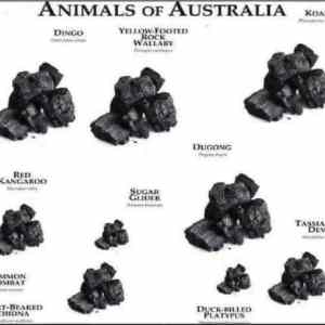 Obrázek 'Animals of Australia'