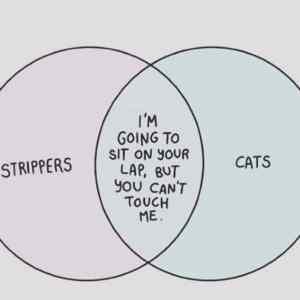 Obrázek 'Another venn diagram'