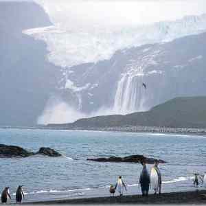 Obrázek 'Antarctica 02'