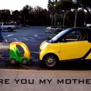 Obrázek 'Are you my mother 17-01-2012'