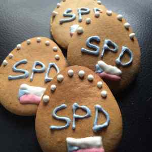 Obrázek 'Asi uz vsichni vime ze volic SPD rovna se debil'