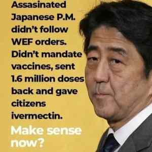 Obrázek 'Assasinated Japanese Prime Minister Shinzo Abe Didn 27t Follow WEF COVID-19 M...'