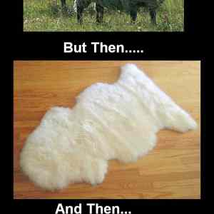 Obrázek 'AtFirstSheep'
