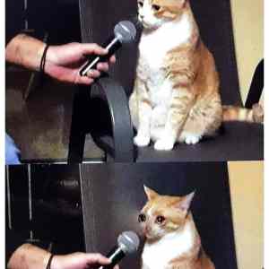 Obrázek 'Audi top'