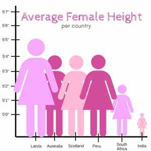 Obrázek 'Average Female Height'