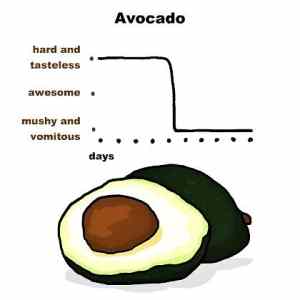 Obrázek 'Avocado graph 27-02-2012'