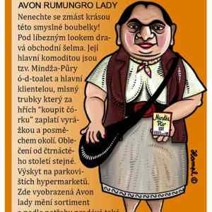Obrázek 'Avon rumungro lady'