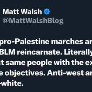 Obrázek 'BLM&nbsp;Incarnate'