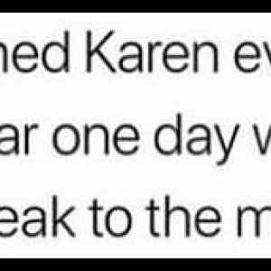 Obrázek 'Babies Named Karen'