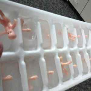 Obrázek 'Baby Ice Cubes'