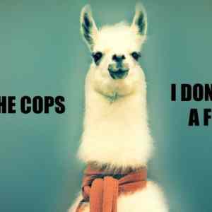 Obrázek 'Badass Llama'