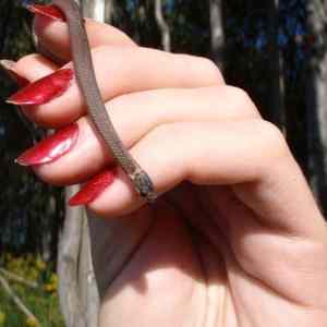 Obrázek 'Badsnake'