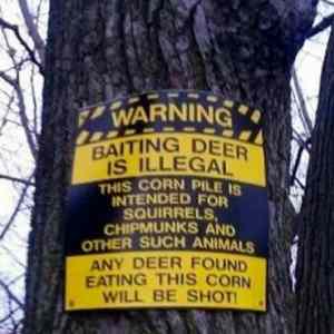 Obrázek 'Baiting deer is illegal'