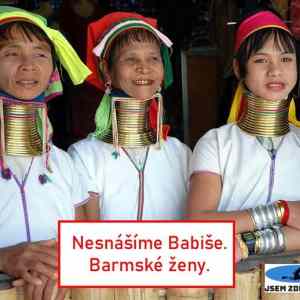 Obrázek 'Barmanske zeny se pripojily do kampane'