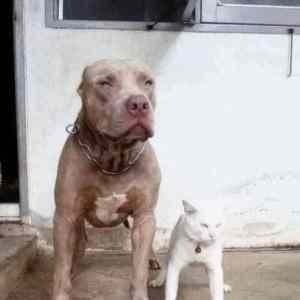 Obrázek 'Be&nbsp;brave'