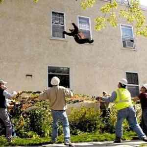 Obrázek 'Bear jump'