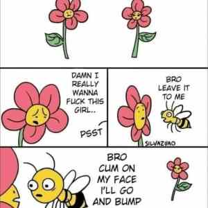Obrázek 'Bees'