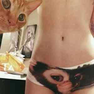 Obrázek 'Before&nbsp;Midnight'