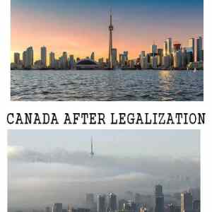 Obrázek 'Before and after legalization'