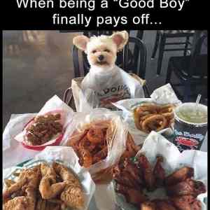 Obrázek 'Being&nbsp;A&nbsp;Good&nbsp;Boy&nbsp;Pays&nbsp;Off'
