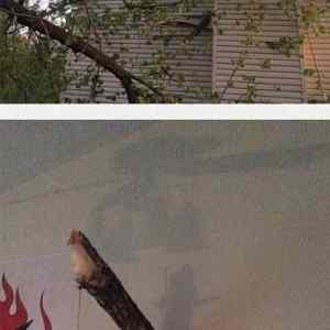 Obrázek 'Better&nbsp;Do&nbsp;Something&nbsp;About&nbsp;This'