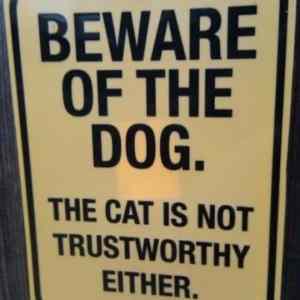 Obrázek 'Beware Of The Dog'