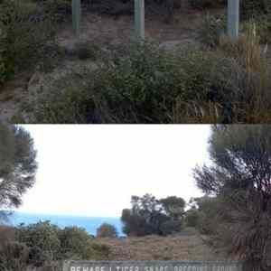 Obrázek 'Beware&nbsp;Of&nbsp;This&nbsp;Area'