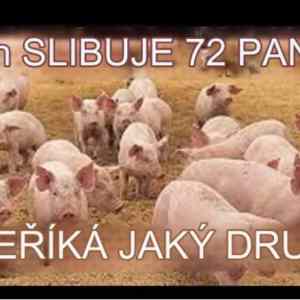 Obrázek 'Bez druhu'