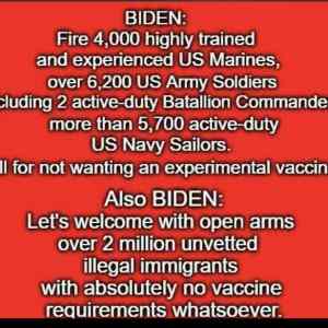 Obrázek 'Biden the Traitor'