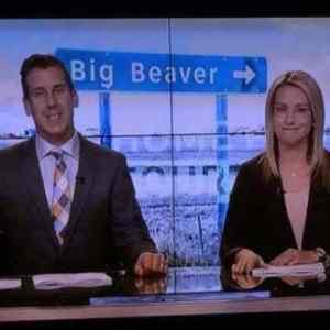 Obrázek 'Big&nbsp;Beaverrr'