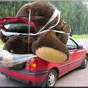Obrázek 'Big Big Bear'