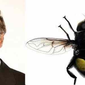 Obrázek 'Bill Gates i Eristalis gatesi'