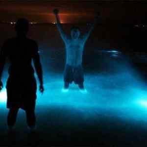 Obrázek 'Bioluminescent-lake-in-Australia-008'