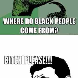 Obrázek 'Bitch please'