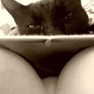 Obrázek 'Black pussy'