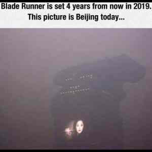 Obrázek 'Blade Runner  '