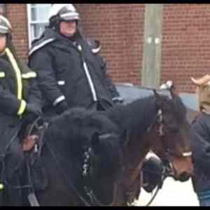 Obrázek 'Blending&nbsp;In3742'