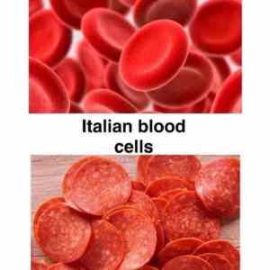 Obrázek 'Blood cells'