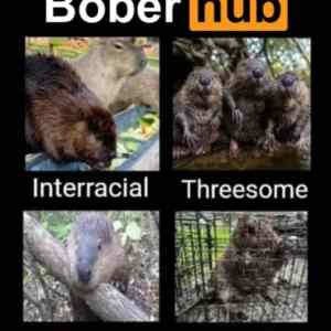 Obrázek 'BoberHub'