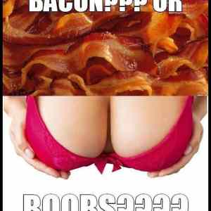 Obrázek 'Boobs-or-bacon'