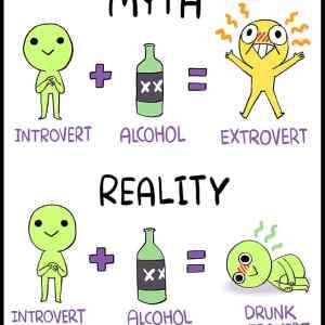 Obrázek 'Booze&nbsp;Wont&nbsp;Make&nbsp;You&nbsp;an&nbsp;Extrovert'