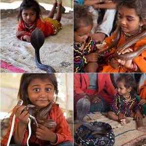 Obrázek 'Brave&nbsp;Little&nbsp;Snake&nbsp;Charmers'