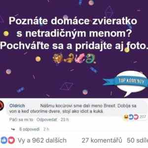 Obrázek 'Brexif'
