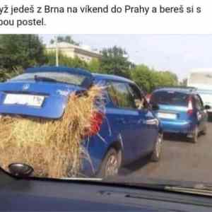 Obrázek 'Brnak jede do Prahy'