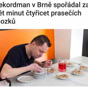 Obrázek 'Brno&nbsp;mozecek'