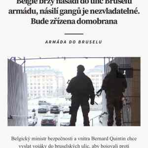 Obrázek 'Brusel je ten nas zapadni vzor'