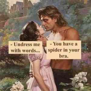 Obrázek 'Bug in the boobs'