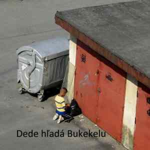 Obrázek 'Bukekela'