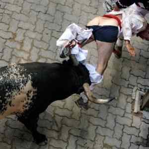 Obrázek 'Bull action'