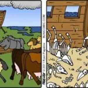 Obrázek 'Buni 100411'